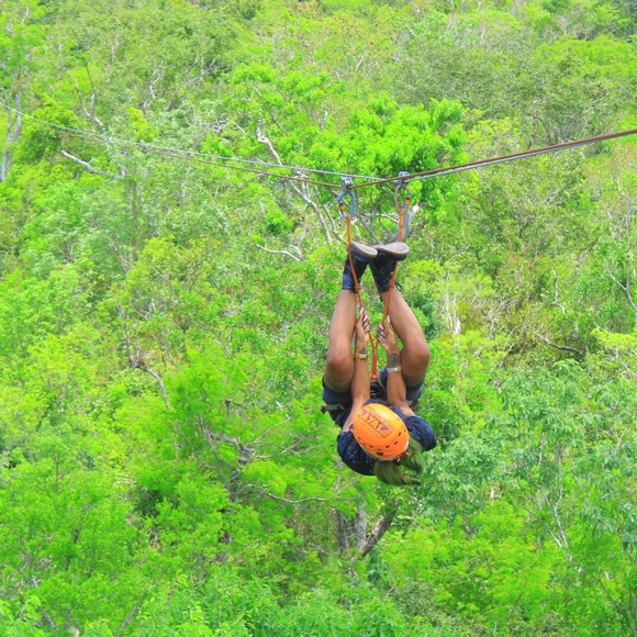 Meet your Posher, Erica - Picture 4 of 8